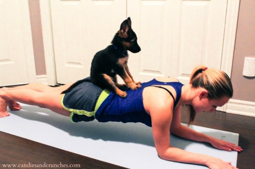 Planking with Bella