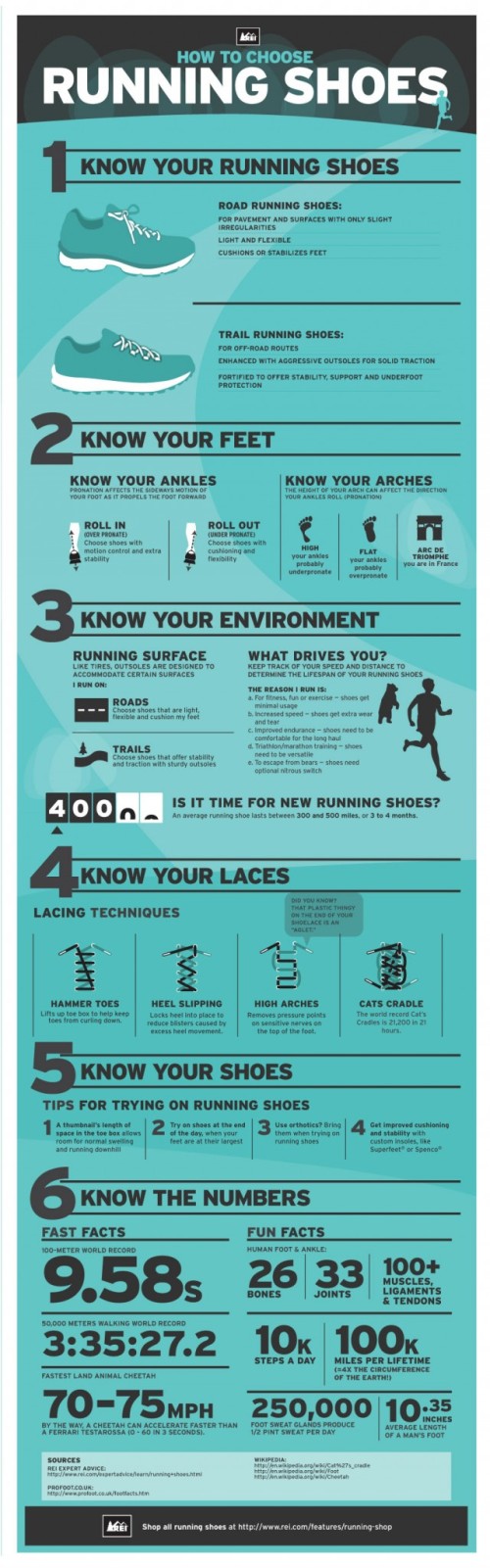 Running shoes infographic